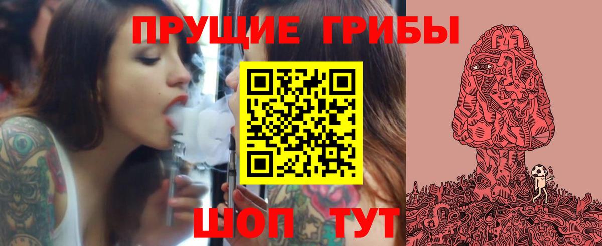 Сланцы  Галлюциногенные грибы Magic Shrooms  Вход с VPN  Псилоцибиновые грибы Psilocybine cubensis 